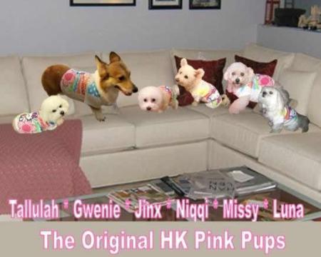 These are the original Twitter Pink Pups