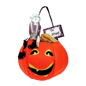 Niqqi received a Halloween treat bag from the scarecrow.